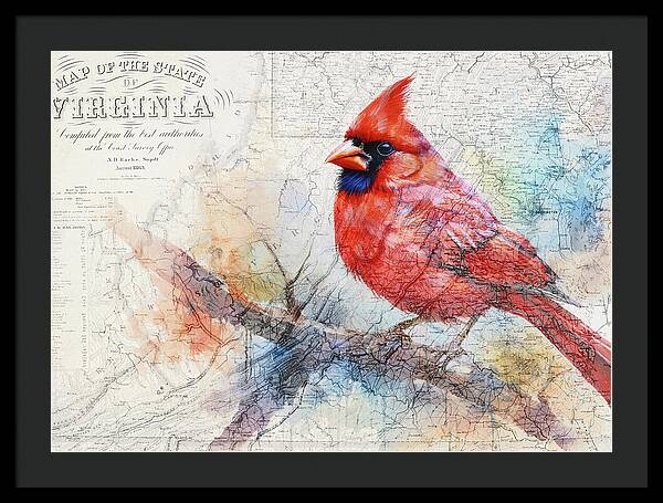 Virginia State Map And Cardinal Bird - Framed Print