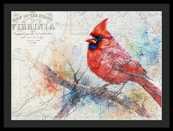 Virginia State Map And Cardinal Bird - Framed Print