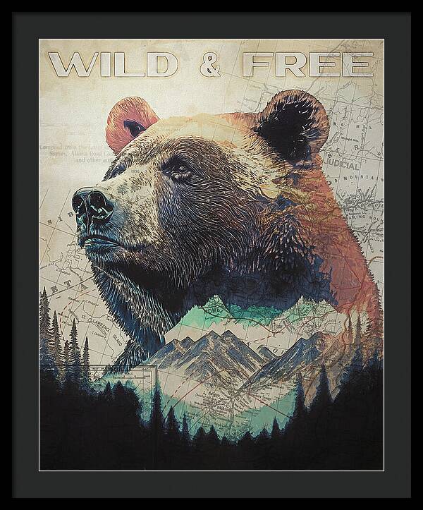 Wild And Free Bear Double Exposure - Framed Print