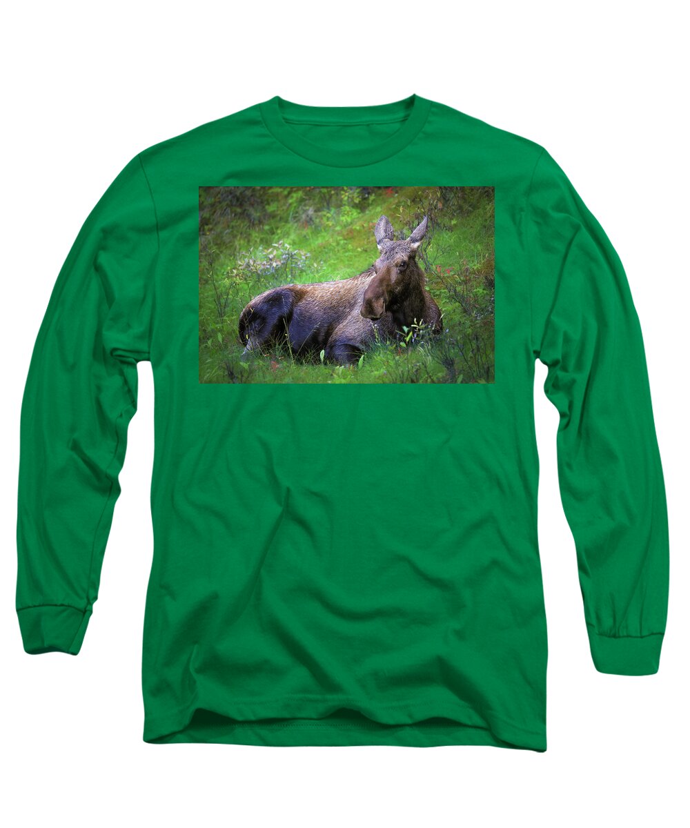 Wild Moose Canadian Rockies - Long Sleeve T-Shirt