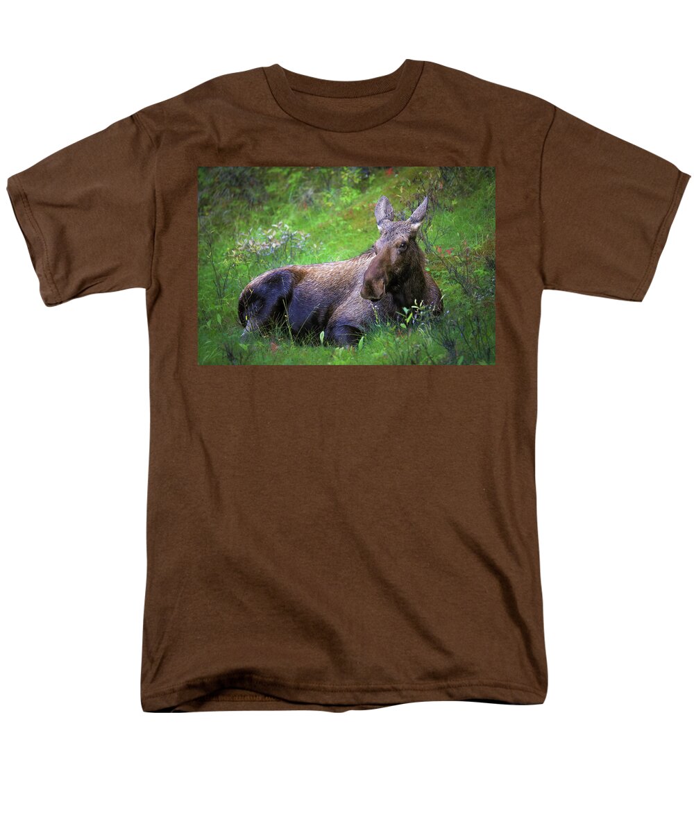 Wild Moose Canadian Rockies - Men's T-Shirt  (Regular Fit)