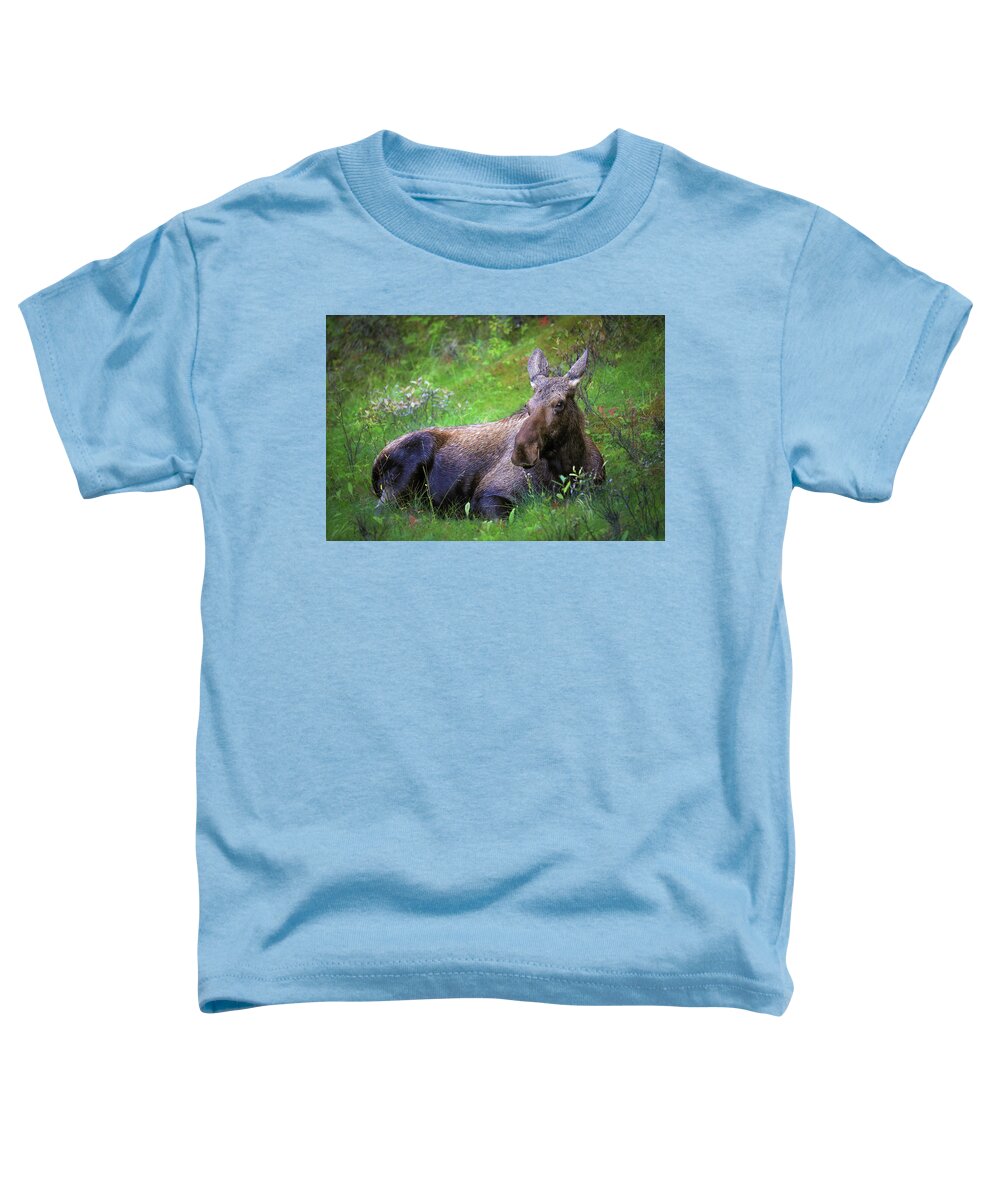 Wild Moose Canadian Rockies - Toddler T-Shirt