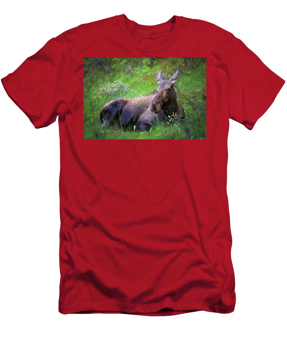 Wild Moose Canadian Rockies - T-Shirt