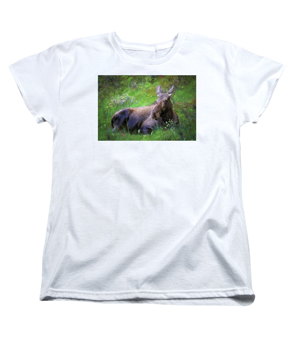 Wild Moose Canadian Rockies - Women's T-Shirt (Standard Fit)