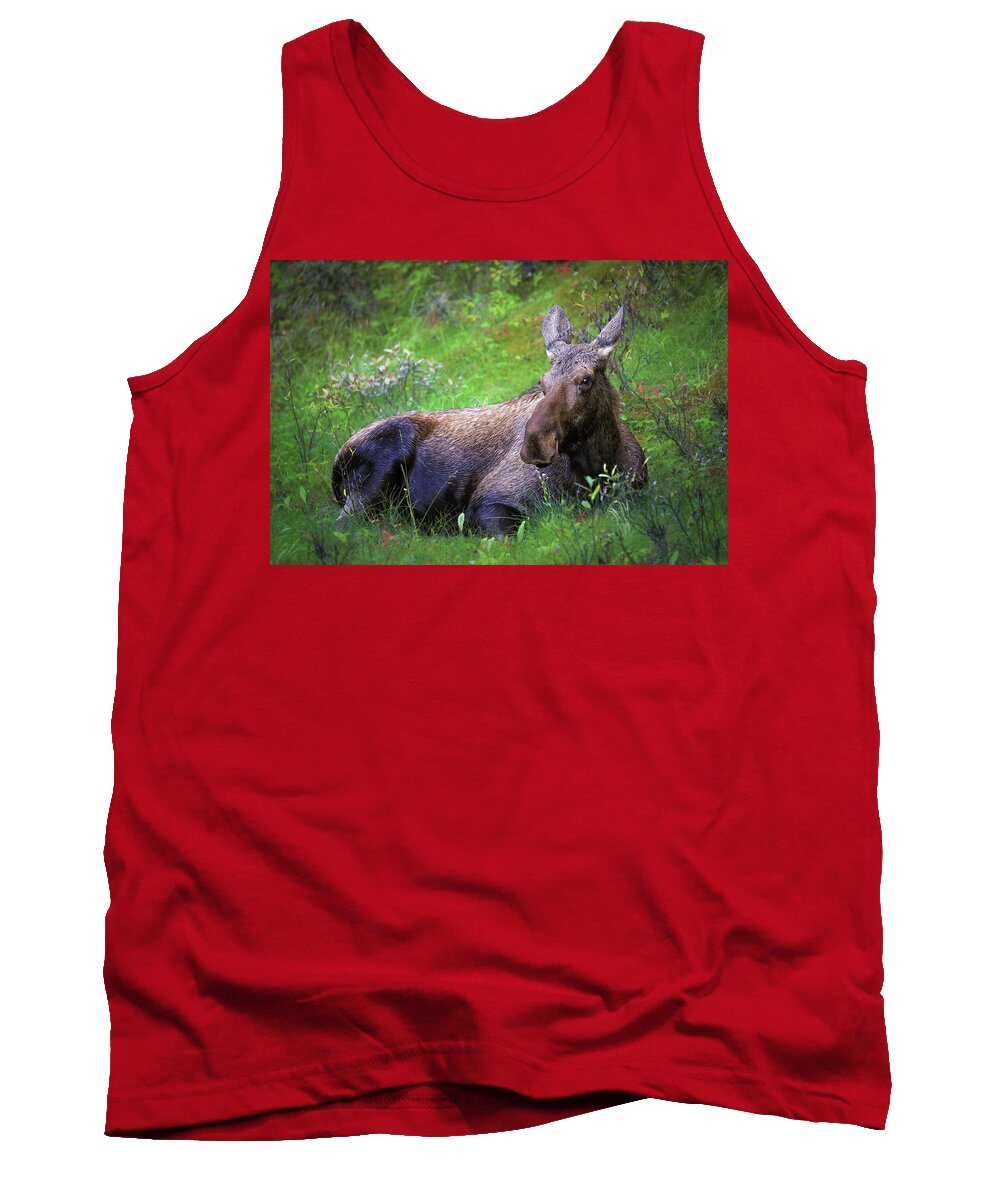 Wild Moose Canadian Rockies - Tank Top