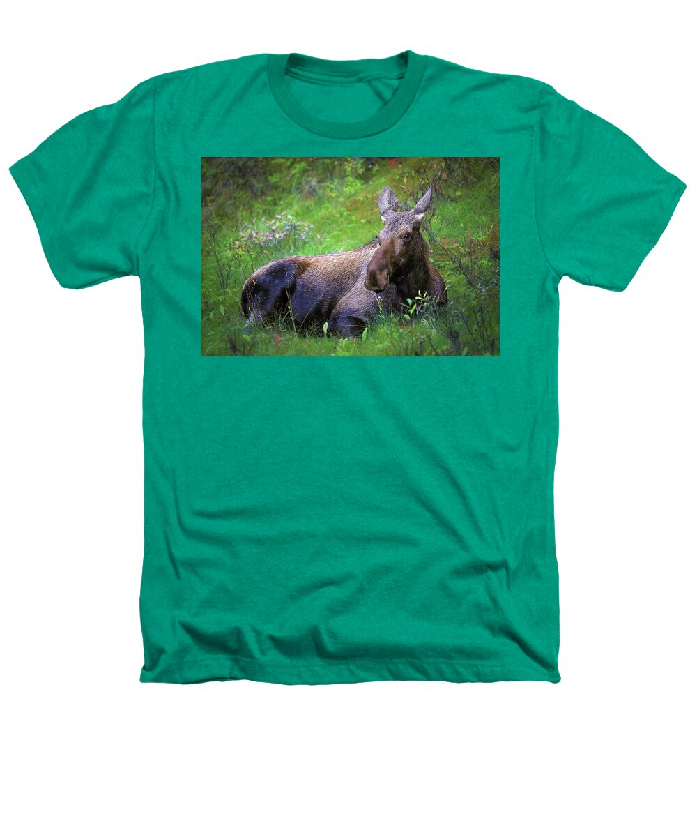 Wild Moose Canadian Rockies - Heathers T-Shirt