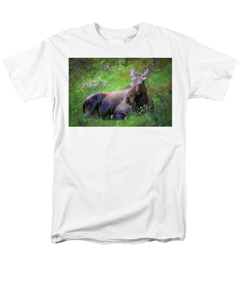 Wild Moose Canadian Rockies - Men's T-Shirt  (Regular Fit)