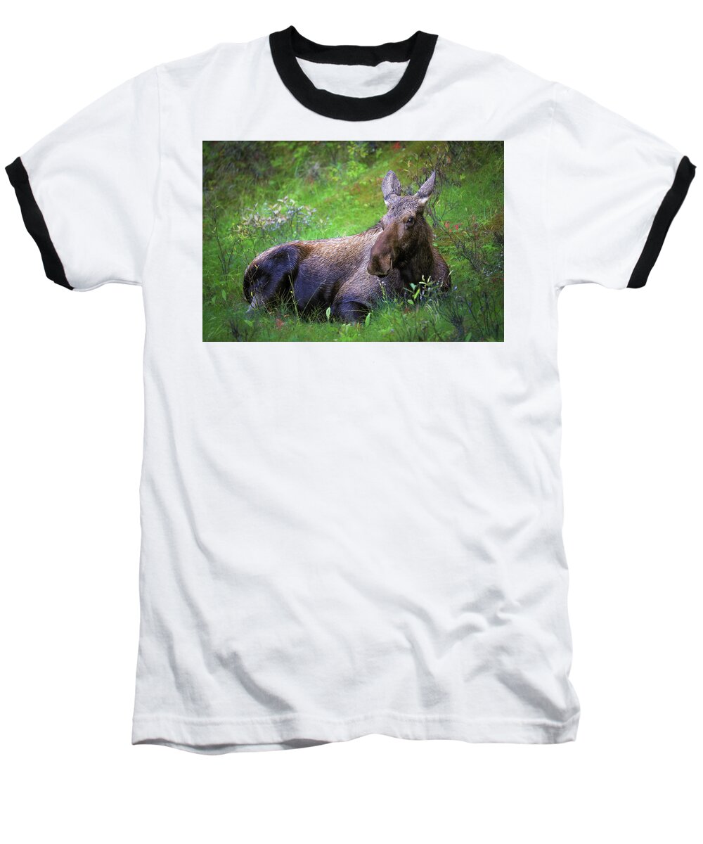 Wild Moose Canadian Rockies - Baseball T-Shirt