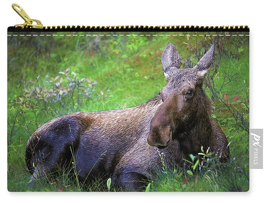 Wild Moose Canadian Rockies - Zip Pouch