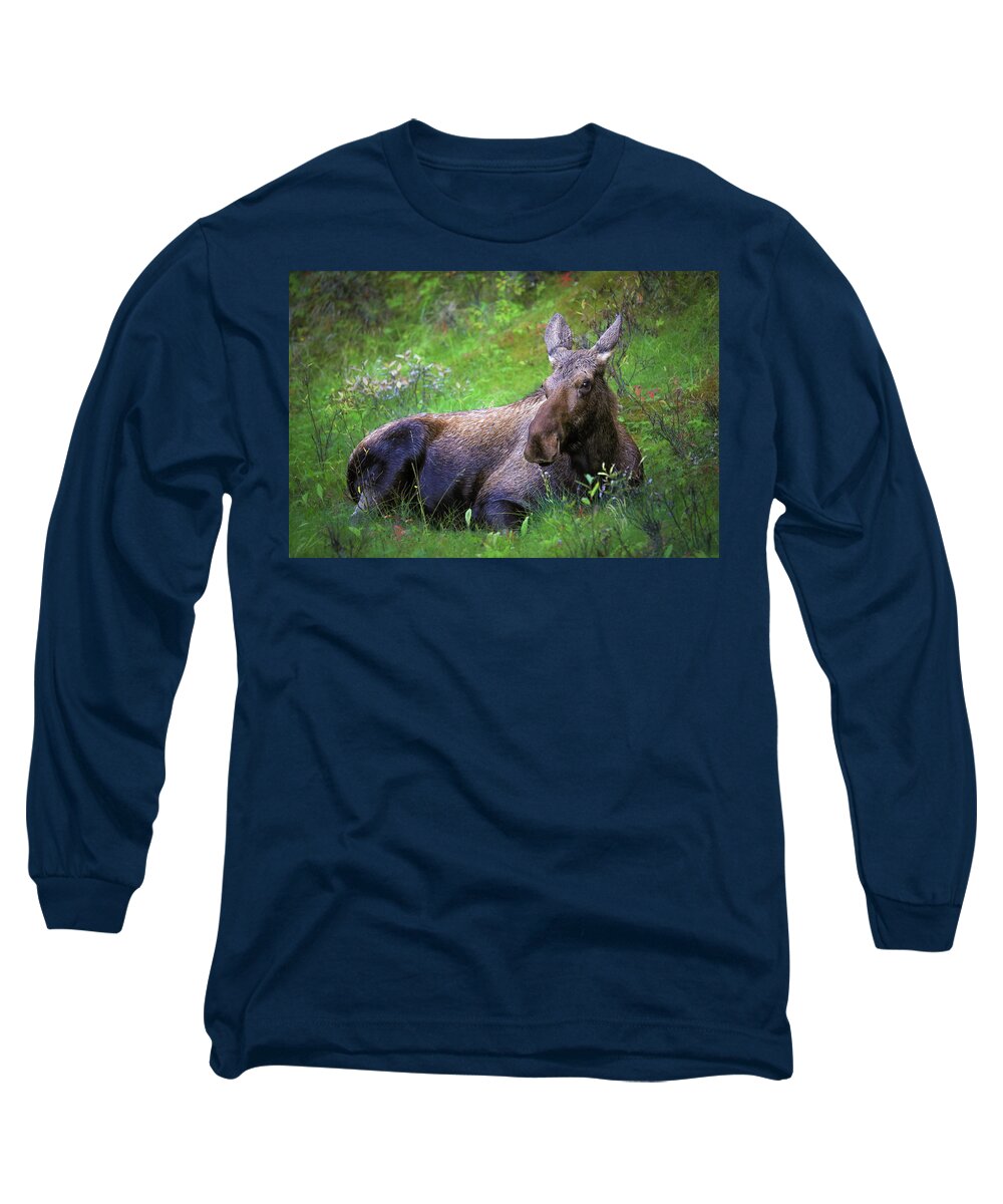 Wild Moose Canadian Rockies - Long Sleeve T-Shirt