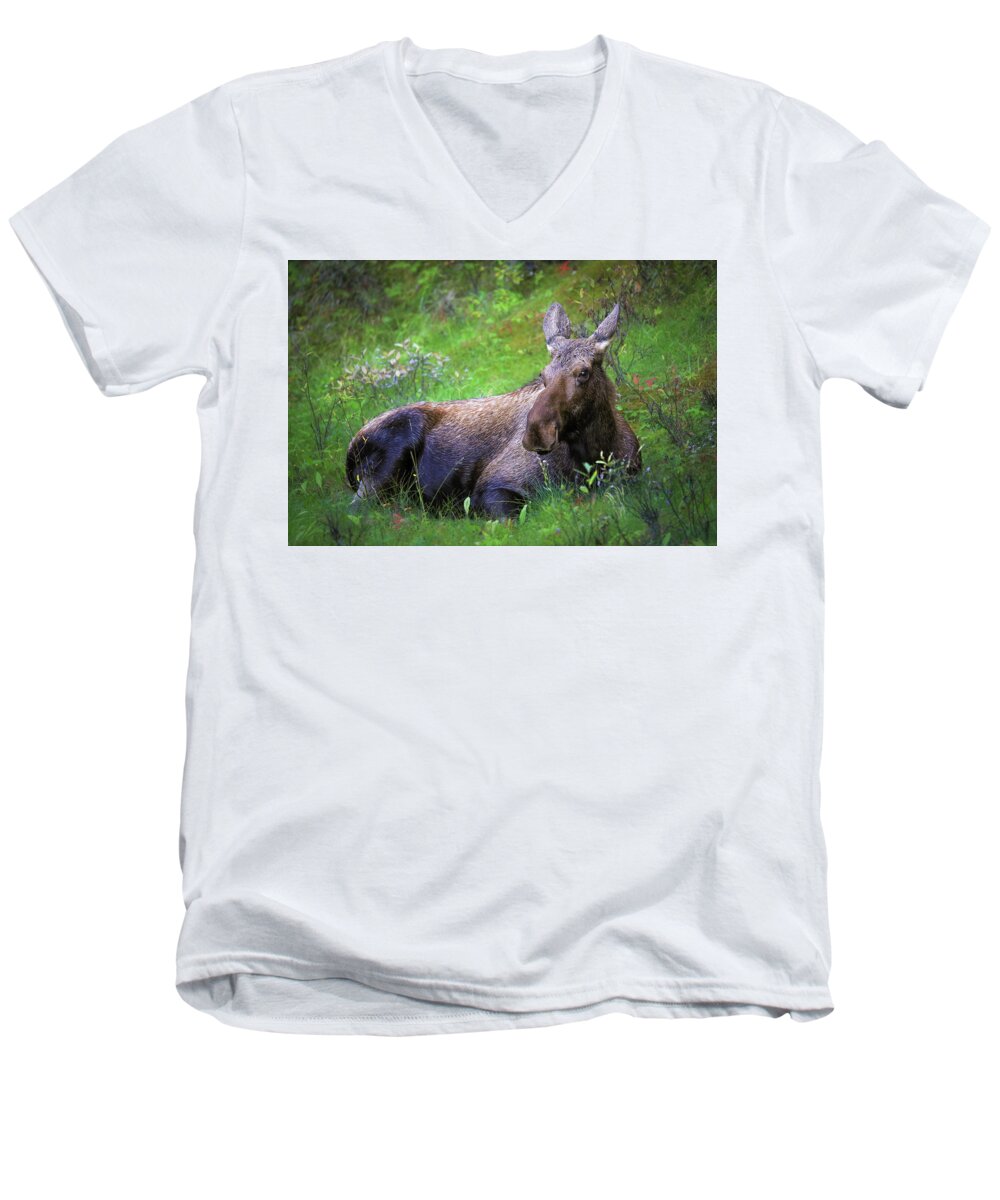 Wild Moose Canadian Rockies - Men's V-Neck T-Shirt