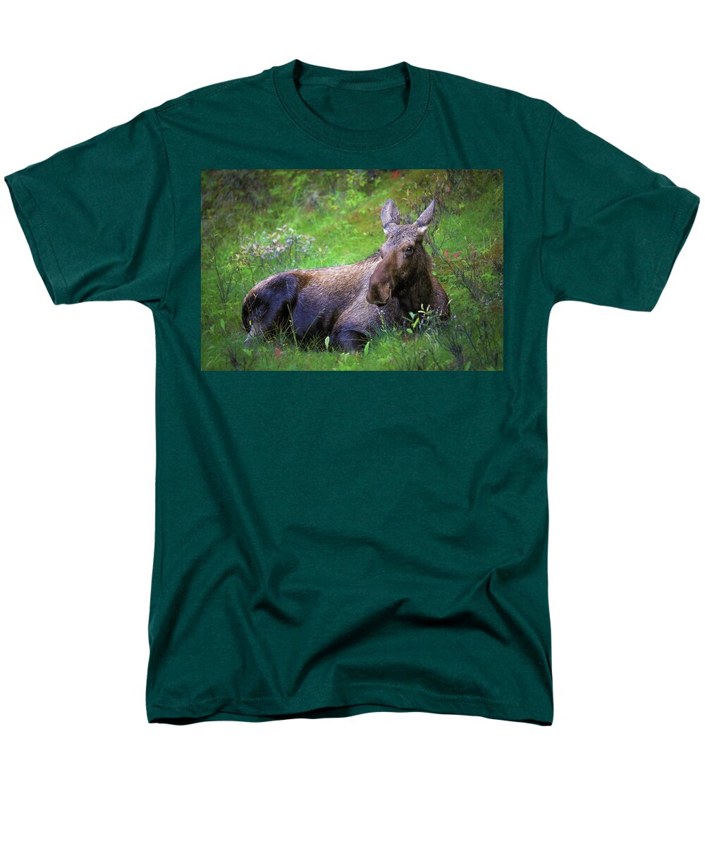 Wild Moose Canadian Rockies - Men's T-Shirt  (Regular Fit)