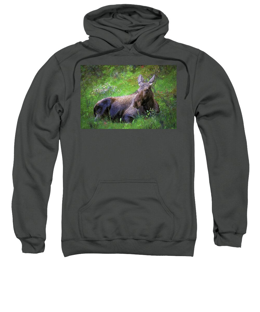 Wild Moose Canadian Rockies - Sweatshirt