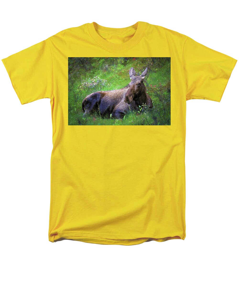 Wild Moose Canadian Rockies - Men's T-Shirt  (Regular Fit)