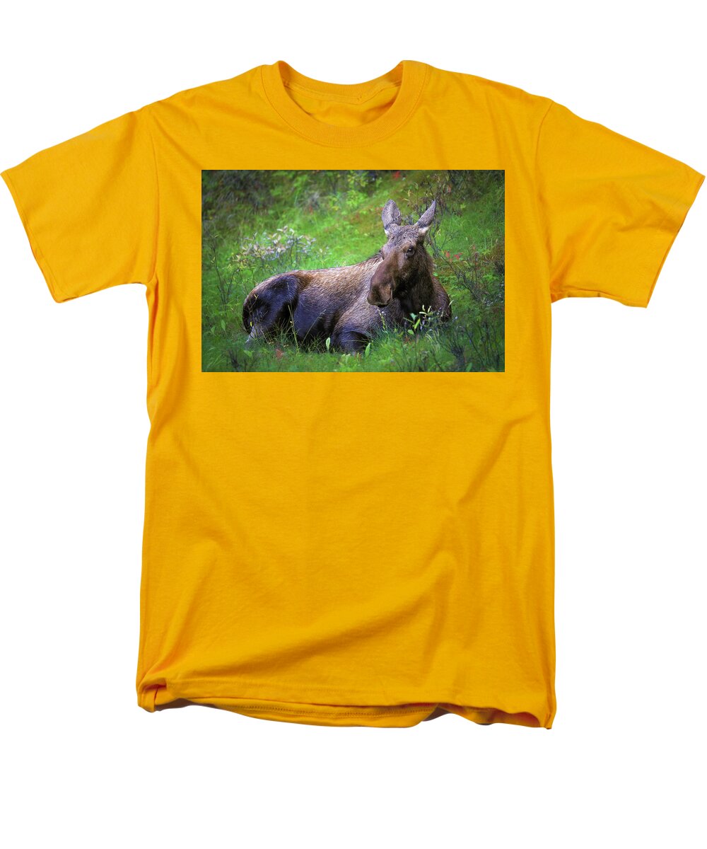 Wild Moose Canadian Rockies - Men's T-Shirt  (Regular Fit)