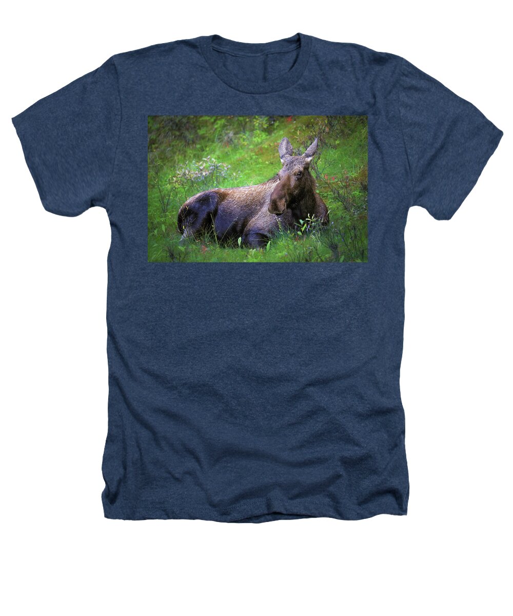 Wild Moose Canadian Rockies - Heathers T-Shirt