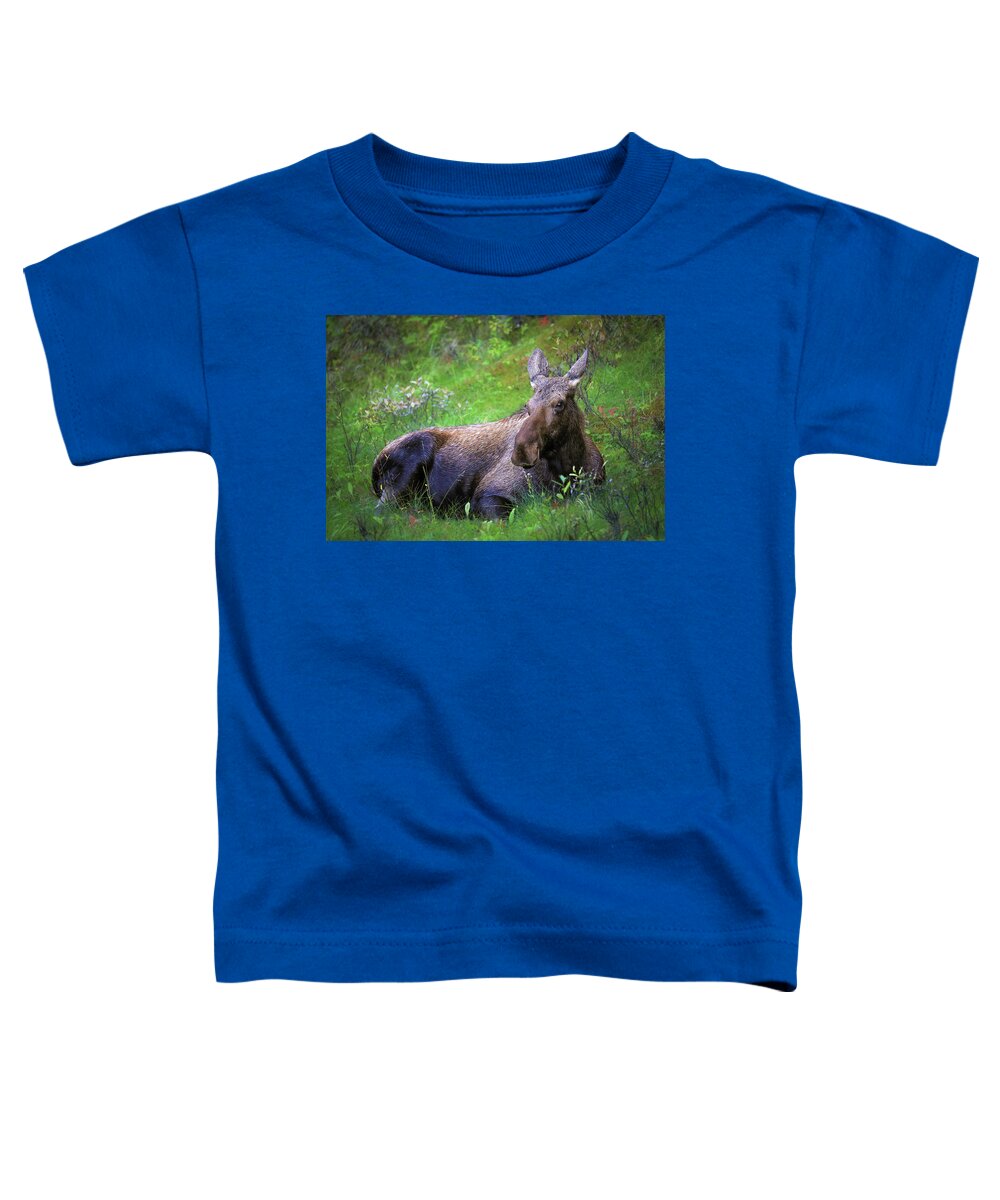 Wild Moose Canadian Rockies - Toddler T-Shirt