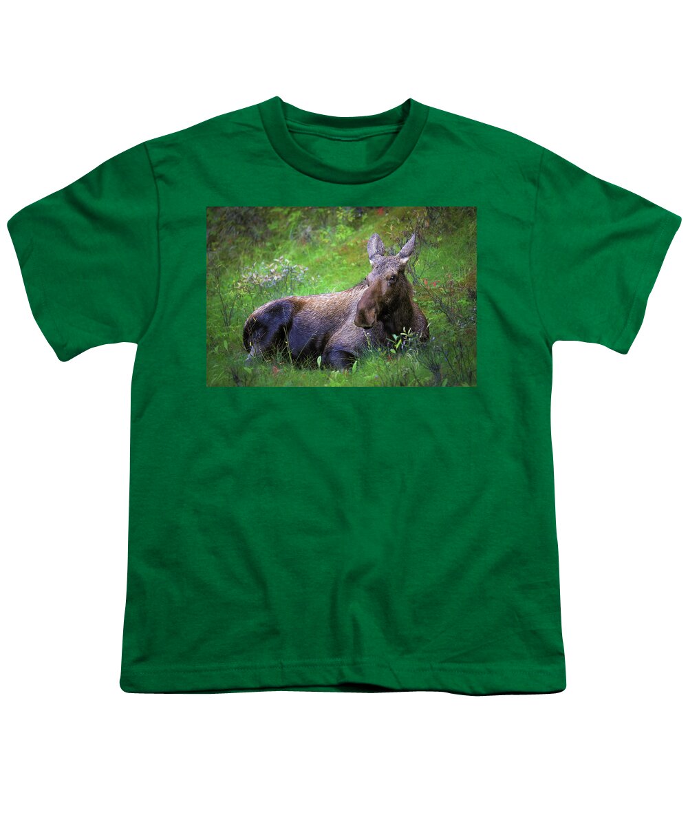 Wild Moose Canadian Rockies - Youth T-Shirt