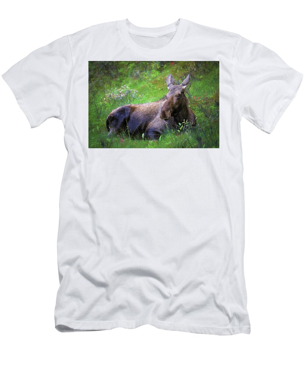 Wild Moose Canadian Rockies - T-Shirt