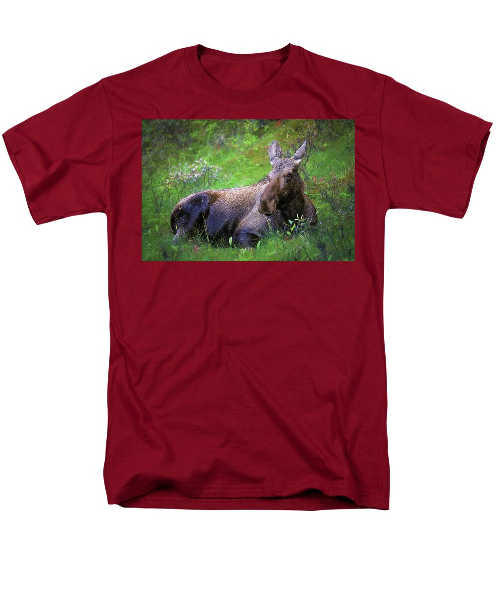 Wild Moose Canadian Rockies - Men's T-Shirt  (Regular Fit)