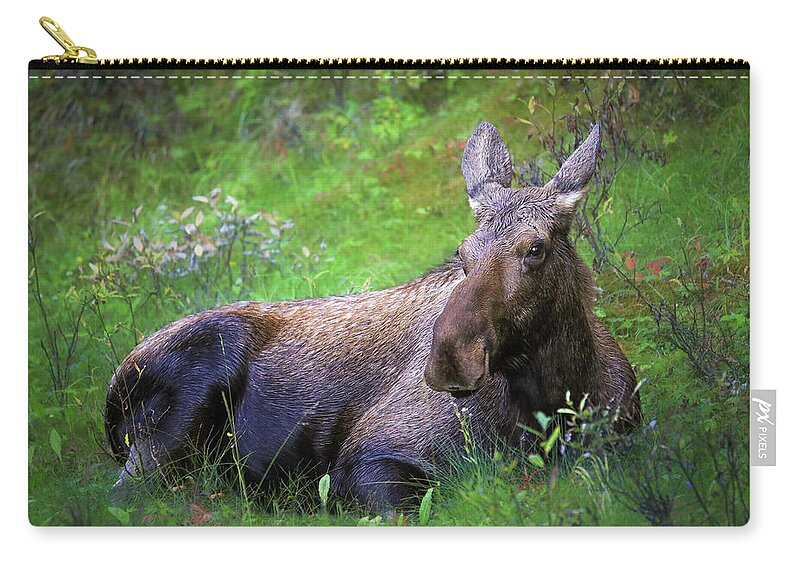 Wild Moose Canadian Rockies - Zip Pouch