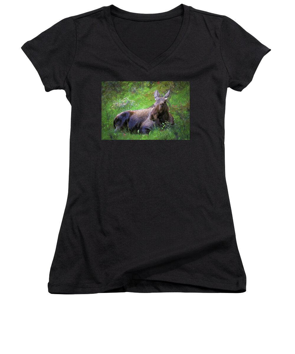 Wild Moose Canadian Rockies - Women's V-Neck