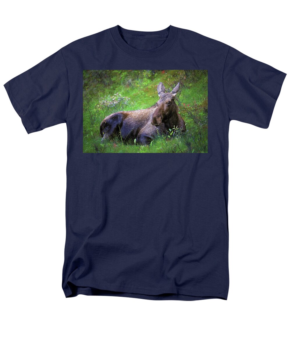 Wild Moose Canadian Rockies - Men's T-Shirt  (Regular Fit)