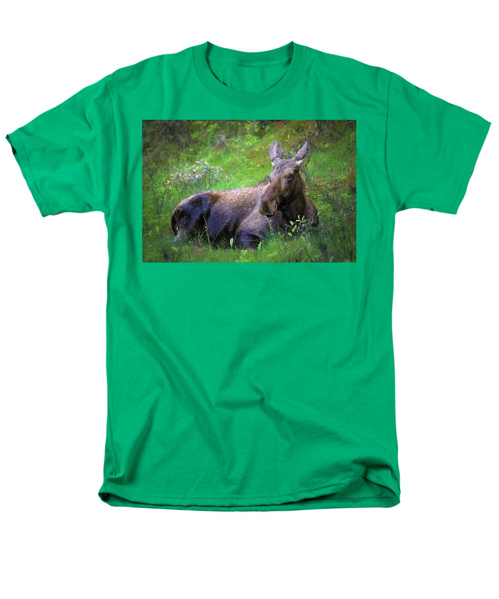 Wild Moose Canadian Rockies - Men's T-Shirt  (Regular Fit)