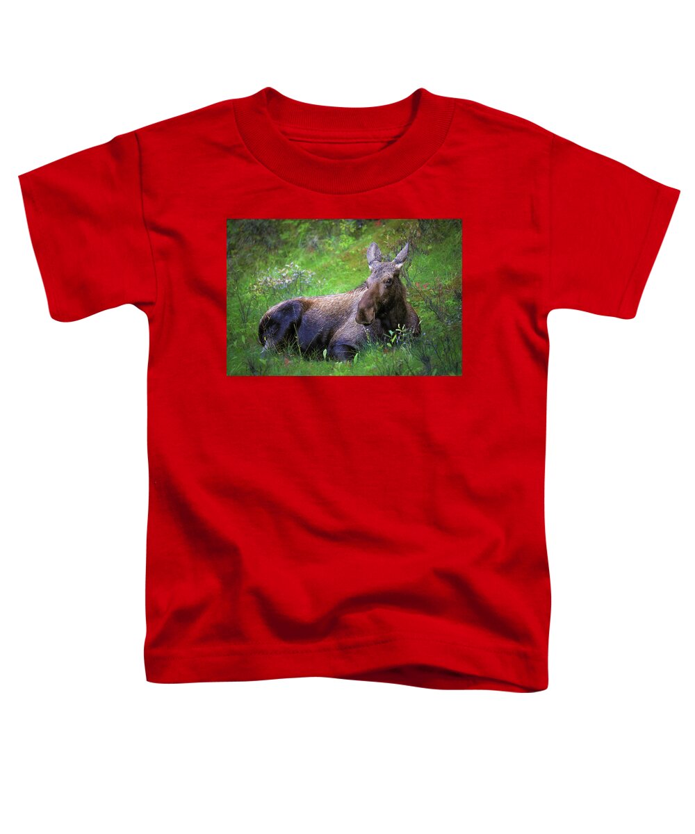 Wild Moose Canadian Rockies - Toddler T-Shirt