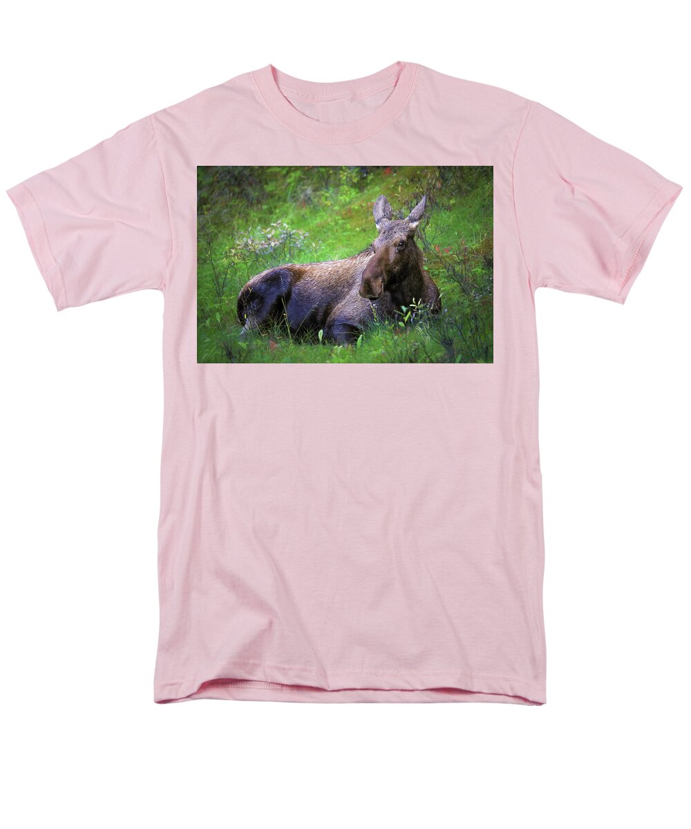 Wild Moose Canadian Rockies - Men's T-Shirt  (Regular Fit)