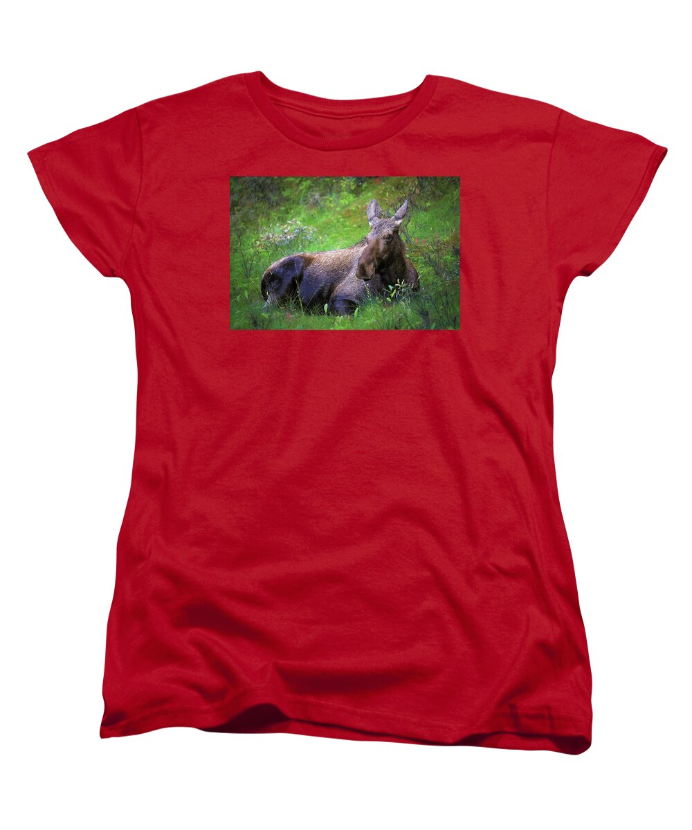 Wild Moose Canadian Rockies - Women's T-Shirt (Standard Fit)