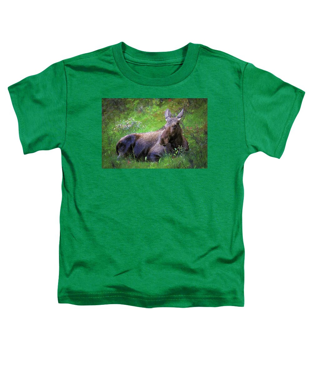 Wild Moose Canadian Rockies - Toddler T-Shirt