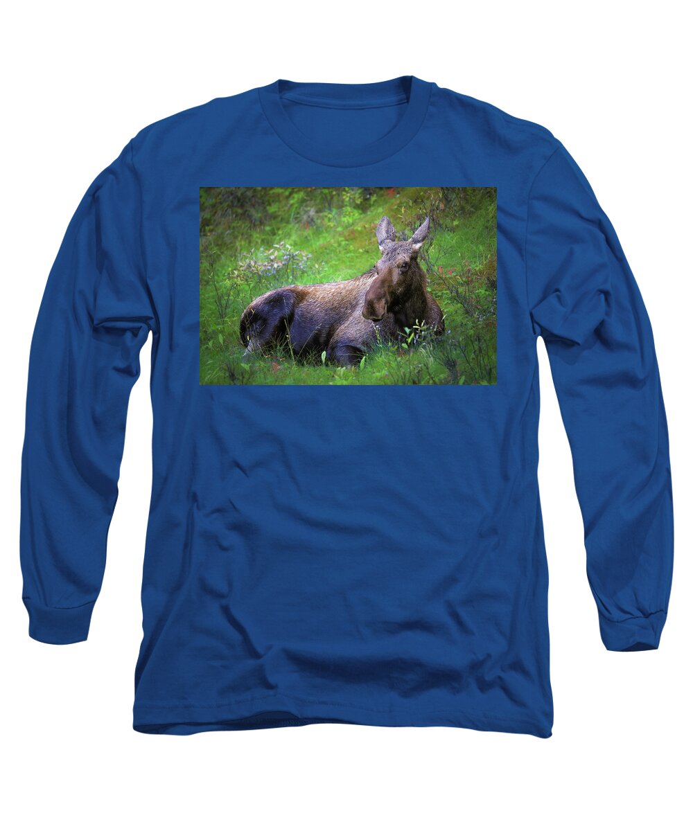 Wild Moose Canadian Rockies - Long Sleeve T-Shirt