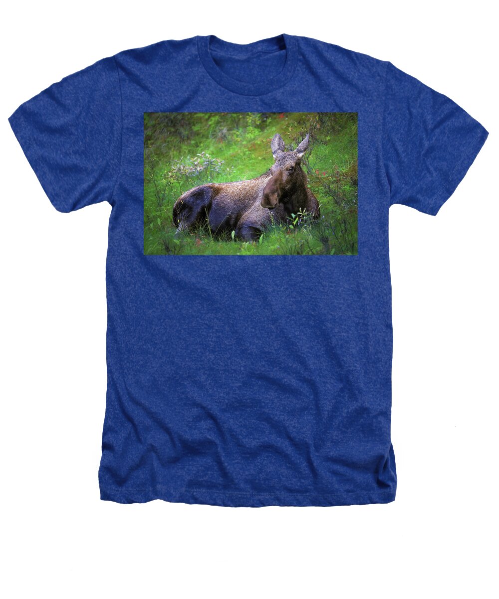 Wild Moose Canadian Rockies - Heathers T-Shirt