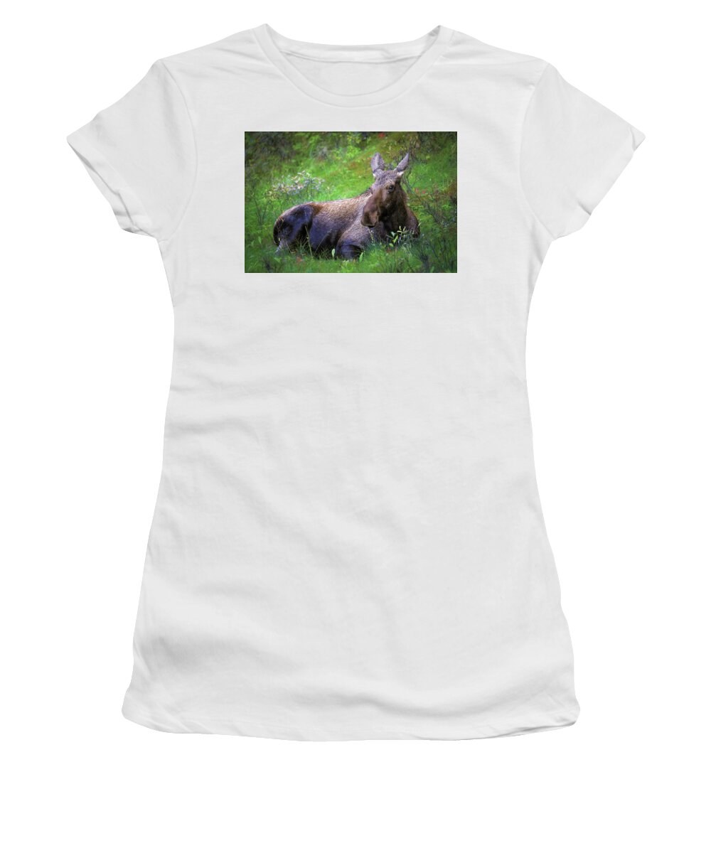 Wild Moose Canadian Rockies - Women's T-Shirt