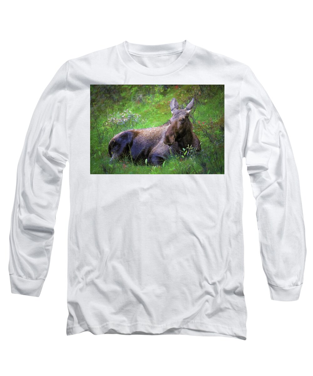 Wild Moose Canadian Rockies - Long Sleeve T-Shirt