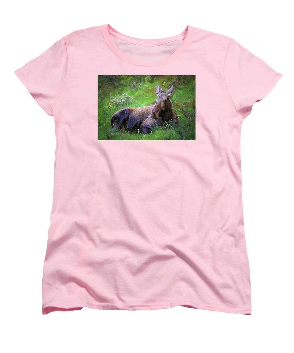 Wild Moose Canadian Rockies - Women's T-Shirt (Standard Fit)