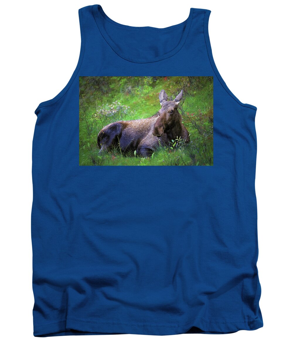 Wild Moose Canadian Rockies - Tank Top