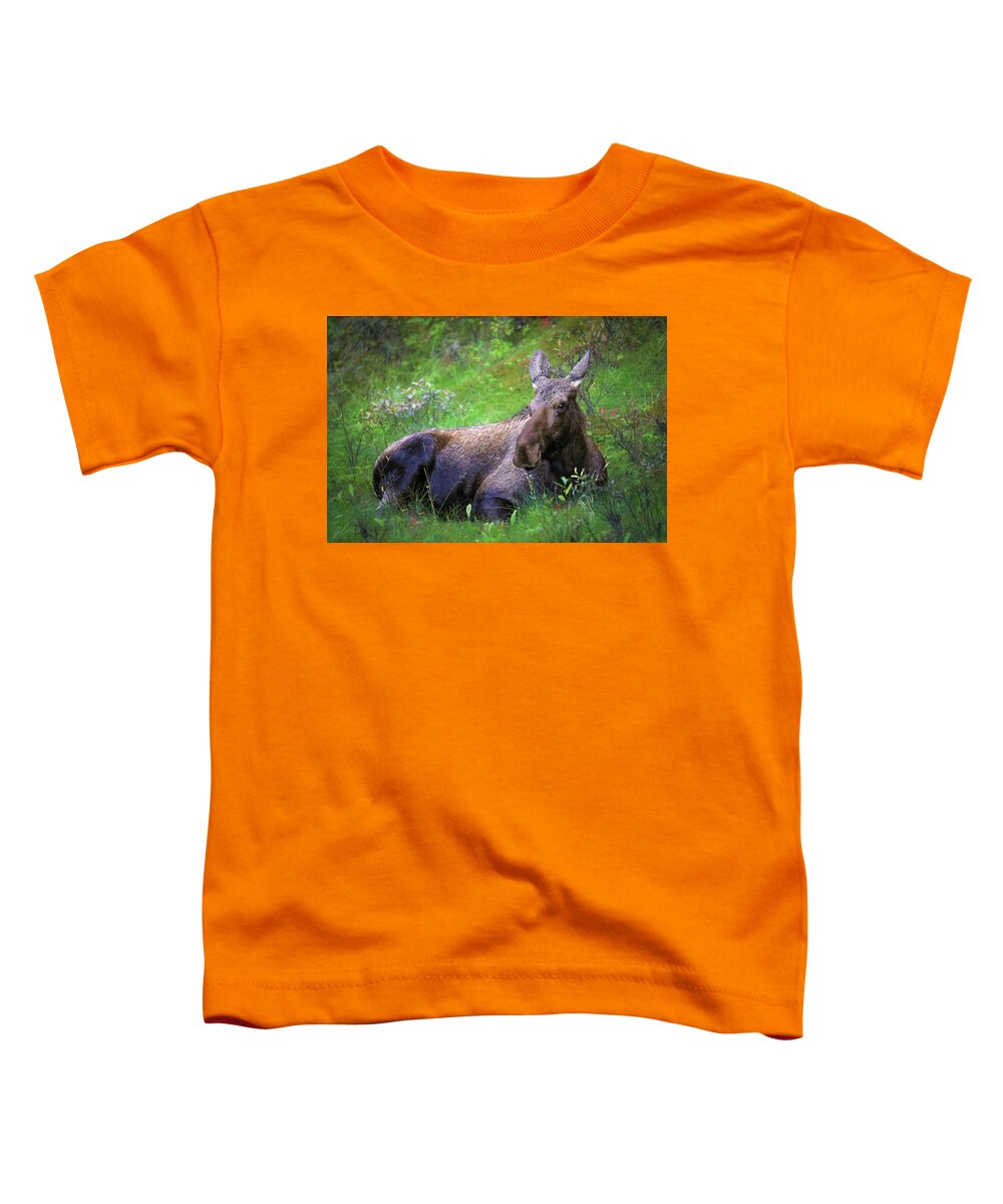 Wild Moose Canadian Rockies - Toddler T-Shirt