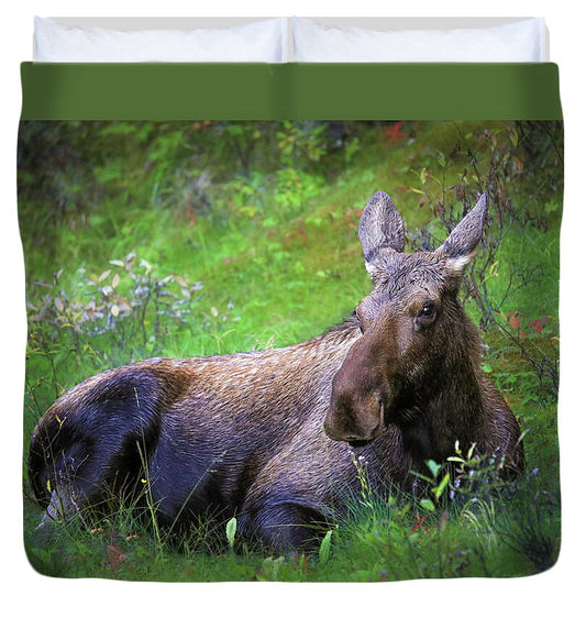 Wild Moose Canadian Rockies - Duvet Cover