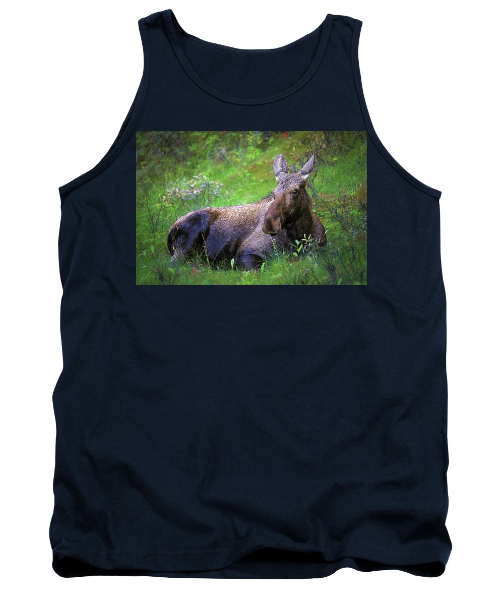 Wild Moose Canadian Rockies - Tank Top