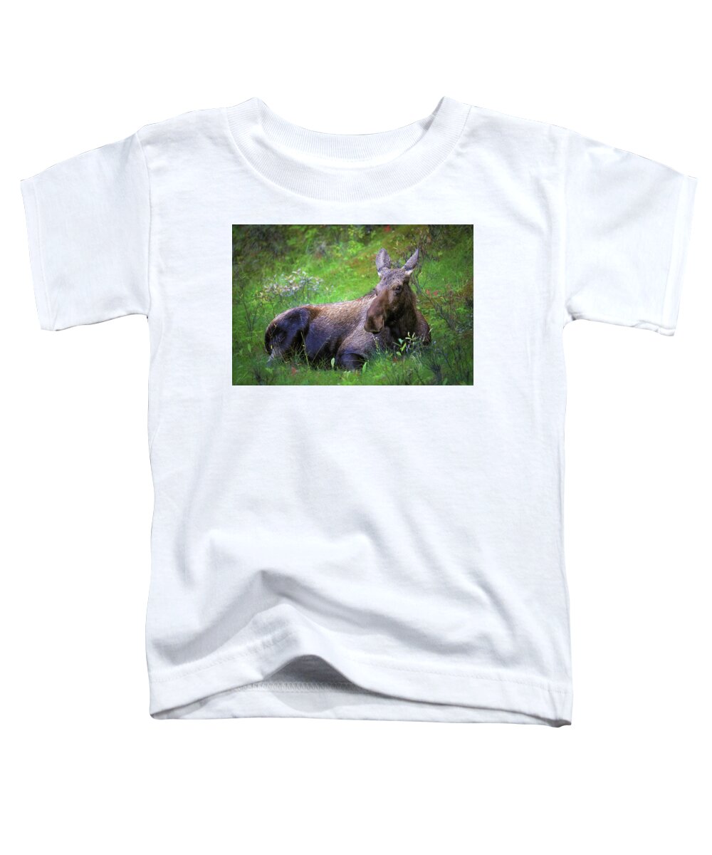 Wild Moose Canadian Rockies - Toddler T-Shirt