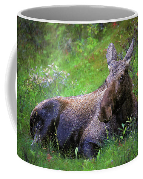 Wild Moose Canadian Rockies - Mug