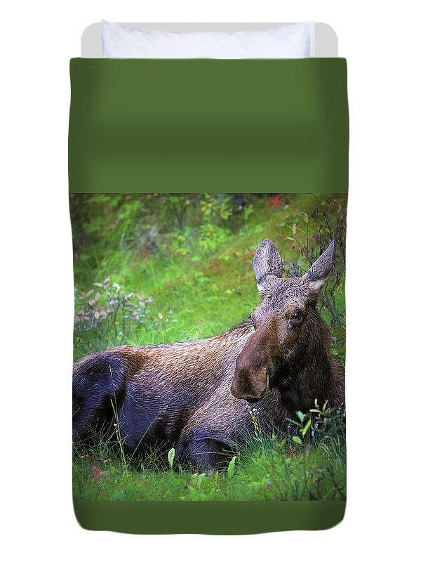 Wild Moose Canadian Rockies - Duvet Cover