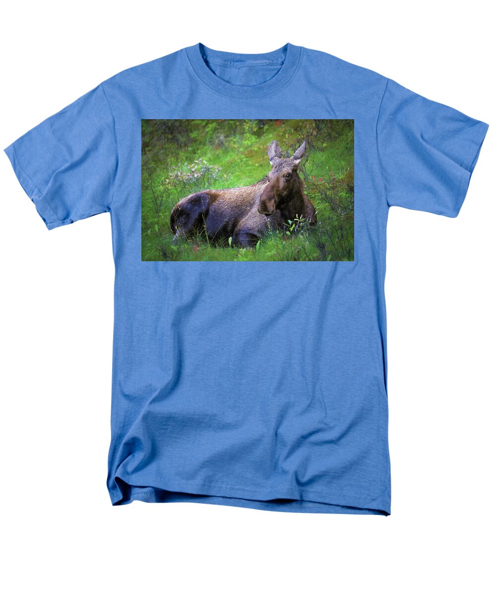 Wild Moose Canadian Rockies - Men's T-Shirt  (Regular Fit)