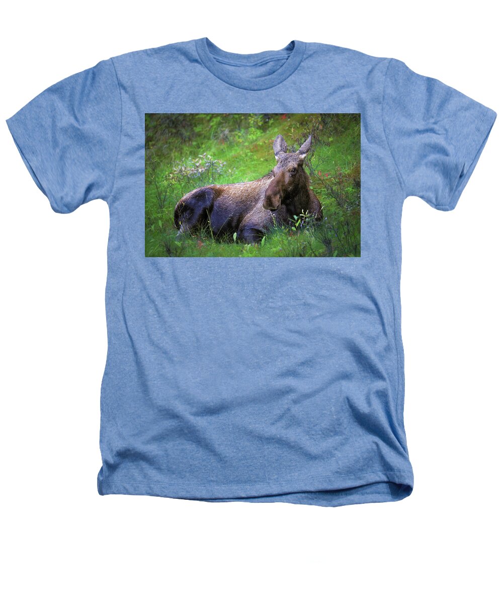 Wild Moose Canadian Rockies - Heathers T-Shirt