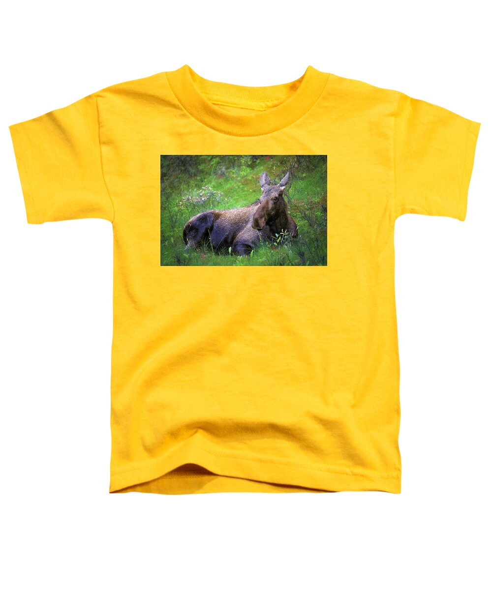 Wild Moose Canadian Rockies - Toddler T-Shirt