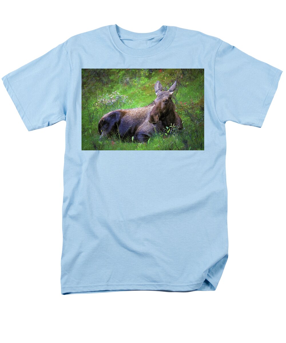 Wild Moose Canadian Rockies - Men's T-Shirt  (Regular Fit)