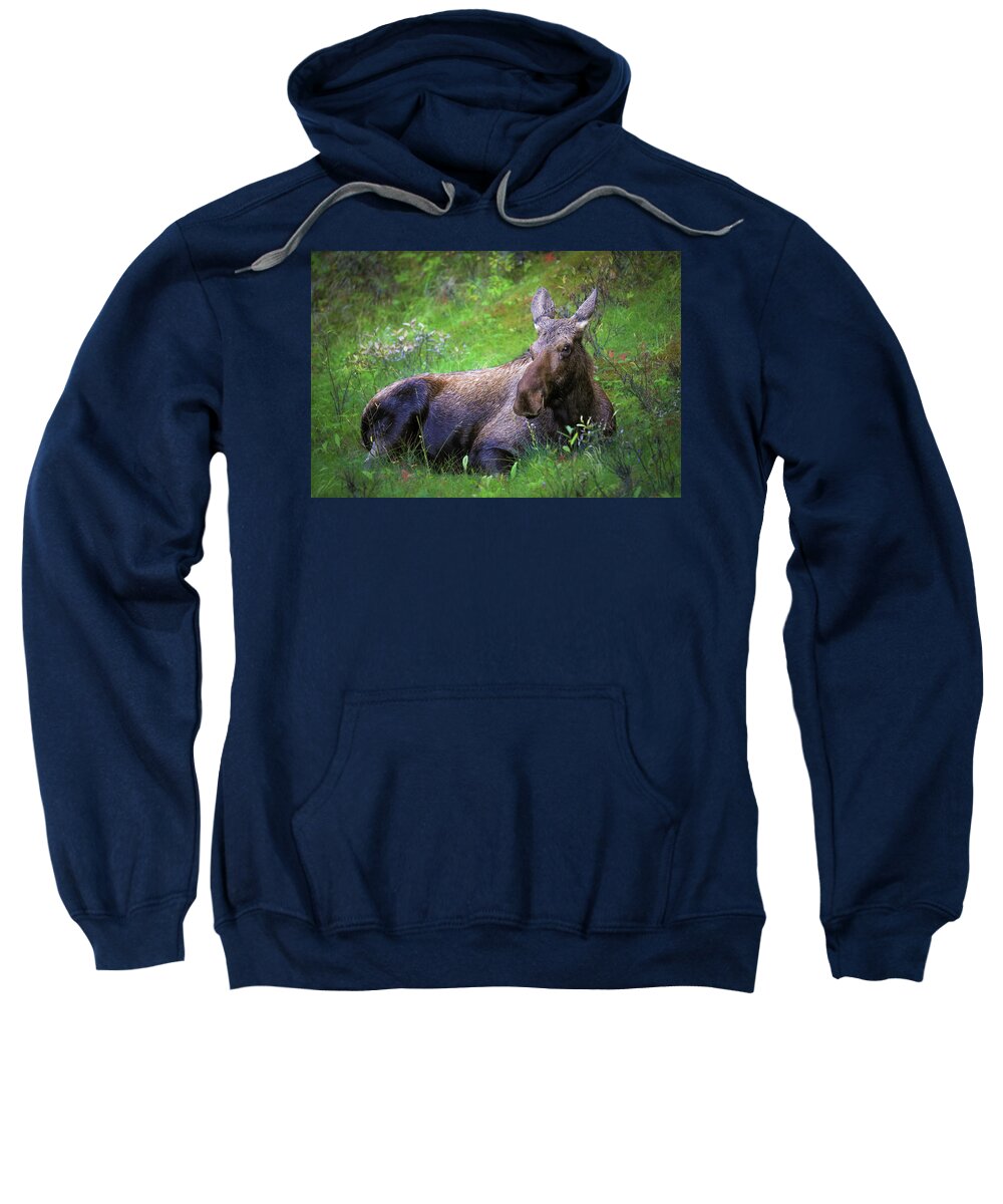 Wild Moose Canadian Rockies - Sweatshirt