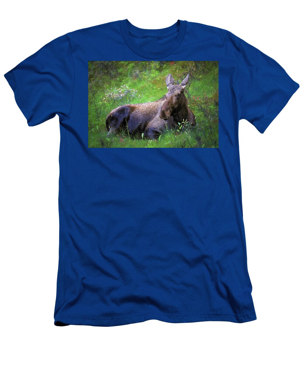 Wild Moose Canadian Rockies - T-Shirt